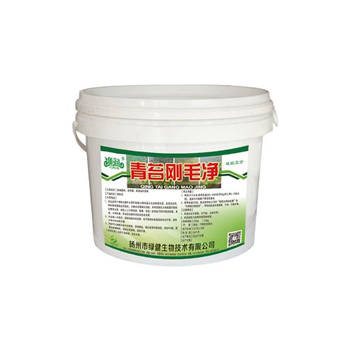 青苔刚毛净