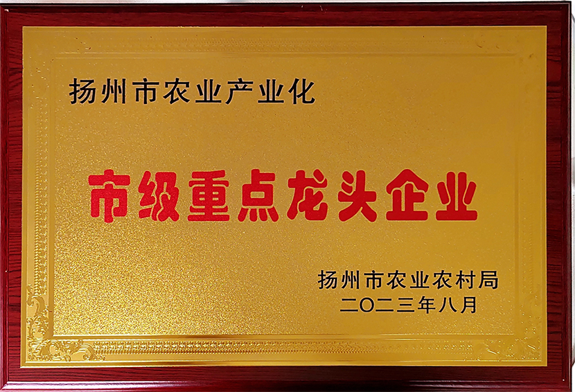 荣誉资质